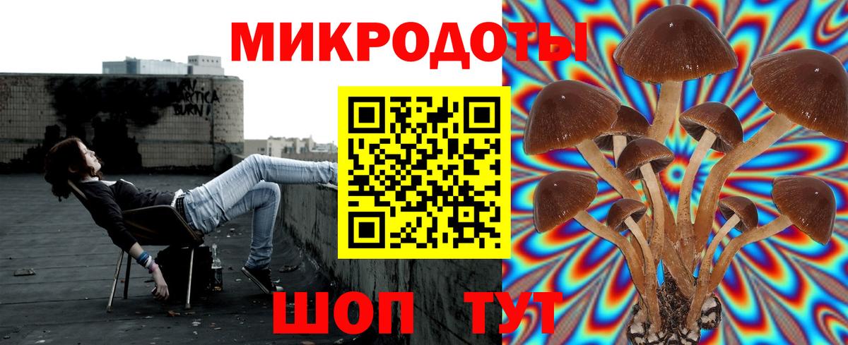 Красноуфимск  Псилоцибиновые грибы мицелий  Вход с VPN 